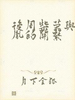 后周柴荣与赵匡胤的关系