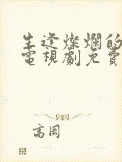 生逢灿烂的日子电视剧免费观看