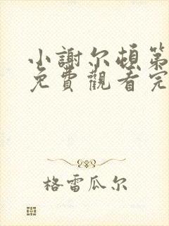 小谢尔顿第5季免费观看完整版高清