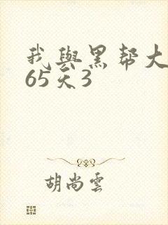 我与黑帮大佬365天3