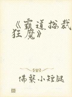 《霸道总裁宠妻狂魔》