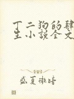 丁二狗的肆意人生小说全文阅读完整版