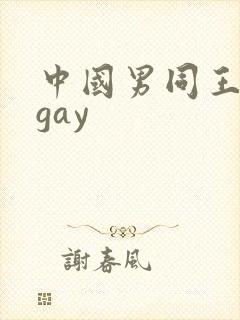 中国男同王伦宝gay