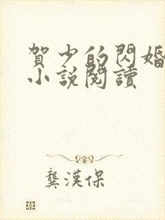 贺少的闪婚暖妻小说阅读