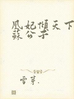 凰妃倾天下 扶苏公子