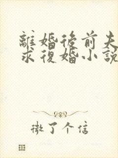 离婚后前夫哭着求复婚小说阅读全部