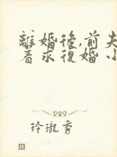 离婚后,前夫哭着求复婚 小说免费阅读封面