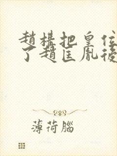 赵构把皇位还给了赵匡胤后人封面