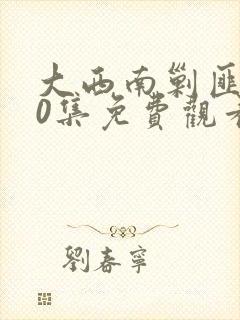 大西南剿匪记40集免费观看