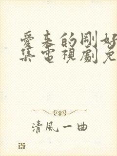 爱来的刚好60集电视剧免费观看