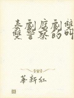 泰剧腐剧双男主双警察的叫什么来着封面