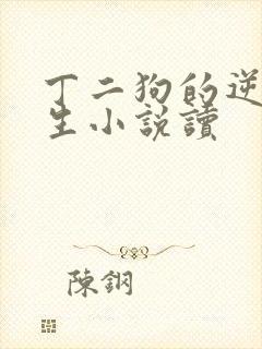 丁二狗的逆袭人生小说读