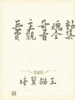 兵主奇魂动漫免费观看全集高清