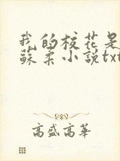 我的校花是福姬苏柔小说txt