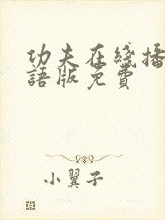 功夫在线播放国语版免费封面