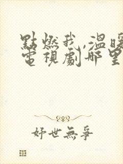 点燃我,温暖你电视剧哪里可以看