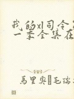 我的xl司令第一季全集在线观看完整版免费封面