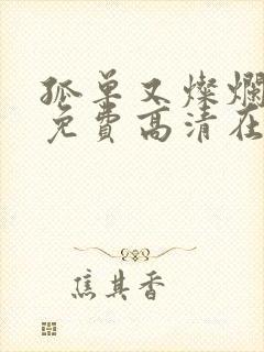 孤单又灿烂的神免费高清在线观看