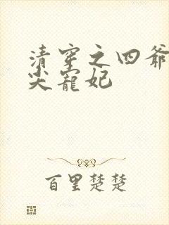 清穿之四爷的心尖宠妃