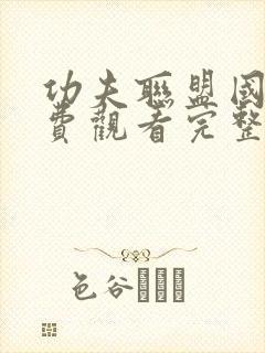 功夫联盟国语免费观看完整版