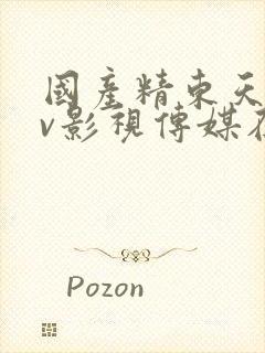 国产精东天美av影视传媒在线播放