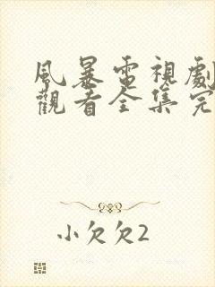 风暴电视剧免费观看全集完整版