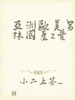 亚洲欧美另类丝袜国产z爱封面