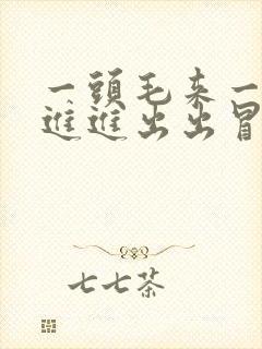 一头毛来一头光进进出出冒白浆