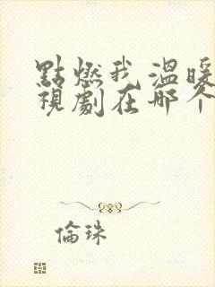 点燃我温暖你电视剧在哪个平台播放