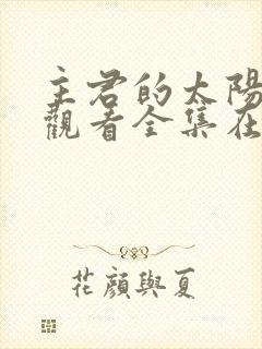 主君的太阳免费观看全集在线播放封面