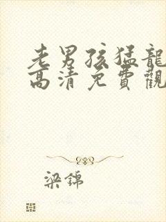 老男孩猛龙过江高清免费观看