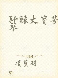 轩辕大宝芳菲雅琴