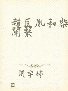 赵匡胤和柴荣的关系