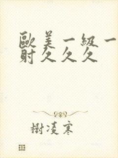 欧美一级一片内射久久久