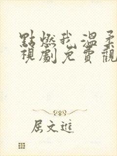 点燃我温柔你电视剧免费观看高清