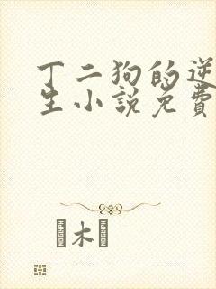 丁二狗的逆袭人生小说免费阅读