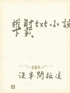 权财txt小说下载