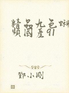 精品九色蝌蚪视频国产91