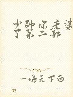 少帅你老婆又跑了第二部