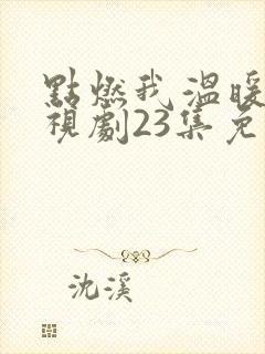 点燃我温暖你电视剧23集免费观看