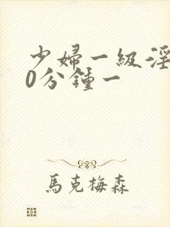 少妇一级淫片60分钟一