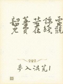 韶华若锦电视剧免费在线观看封面