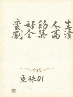 蛮好的人生电视剧全集高清在线观看