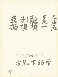 亚洲欧美自拍偷拍视频一区二区