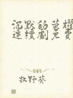 沉默的荣耀电视连续剧免费观看全集