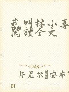 我叫林小喜免费阅读全文