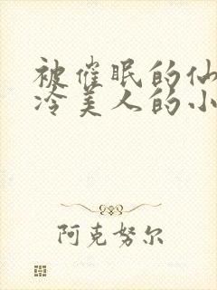 被催眠的仙子高冷美人的小说