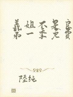 义姐不是良妈妈第一季免费观看封面