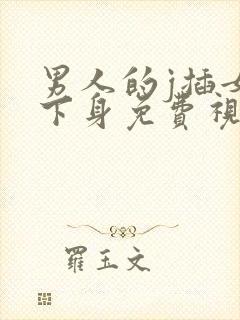 男人的j插女人下身免费视频