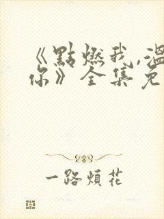 《点燃我,温暖你》全集免费观看封面